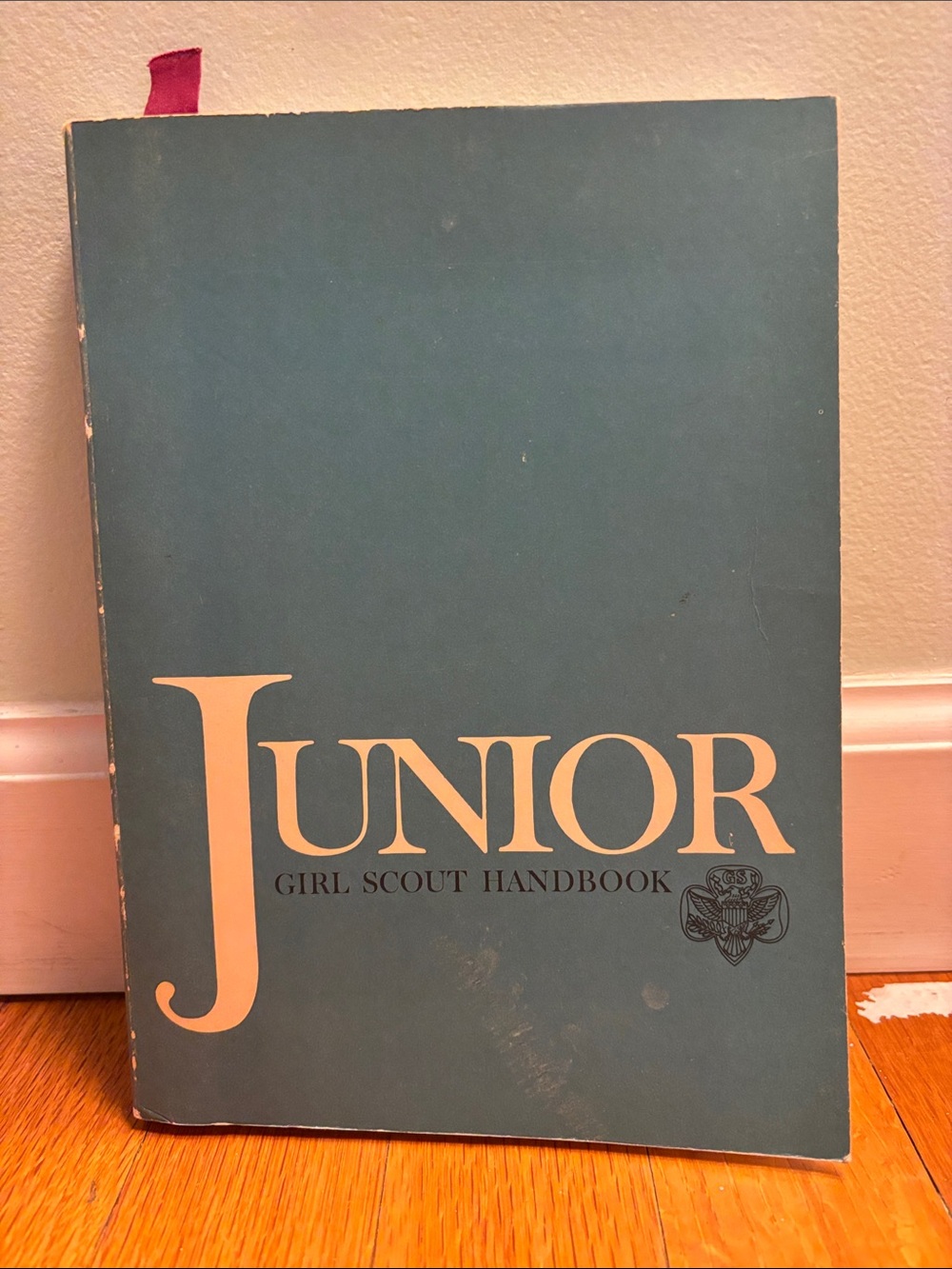 Junior Girl Scout Handbook - Teal Cover